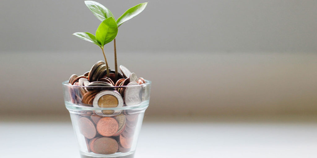 leaves growing out of money in glass pot