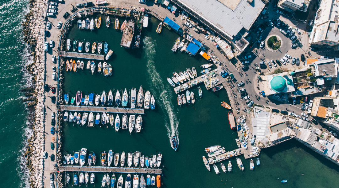 boats in a harbor